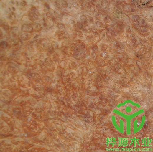 紅花樟樹(shù)榴木皮0.5mm價(jià)格實(shí)惠，高檔樹(shù)榴木皮品質(zhì)保證