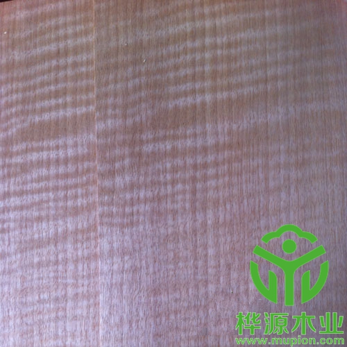 紅影木皮0.5mm品質(zhì)無(wú)憂(yōu)，安利格影木皮優(yōu)質(zhì)供應(yīng)