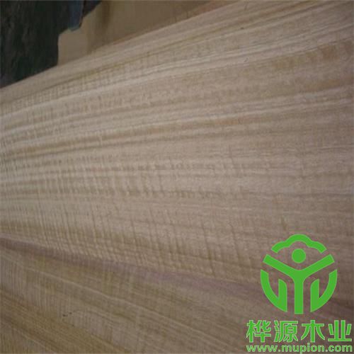 尤加利影木皮0.5mm品質(zhì)保證，排骨影尤加利裝修效果好
