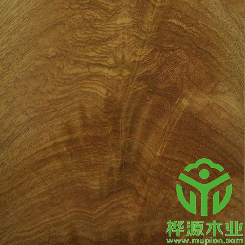 0.5mm金杈木皮品質(zhì)無(wú)憂(yōu)，高檔樹(shù)杈木皮價(jià)格優(yōu)惠
