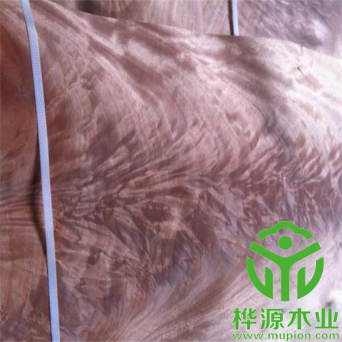 奧古曼樹(shù)杈木皮價(jià)格優(yōu)惠，0.5mm樹(shù)杈木皮品質(zhì)好
